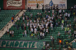 Guarani-Fans beim Spiel Guarani - Portuguesa im Estadio Brinco de Ouro, Campinas, März 2016